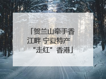 贺兰山牵手香江畔 宁夏特产“走红”香港