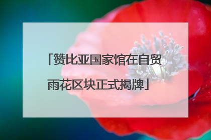 赞比亚国家馆在自贸雨花区块正式揭牌