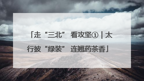 走“三北” 看攻坚①｜太行披“绿装” 连翘药茶香