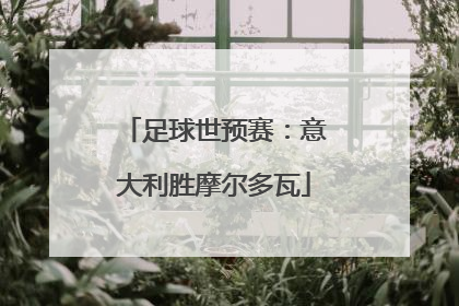 足球世预赛：意大利胜摩尔多瓦