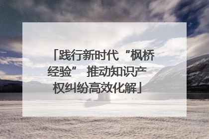 践行新时代“枫桥经验” 推动知识产权纠纷高效化解