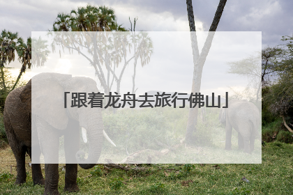 跟着龙舟去旅行佛山