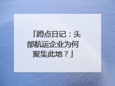 蹲点日记：头部航运企业为何聚集此地？