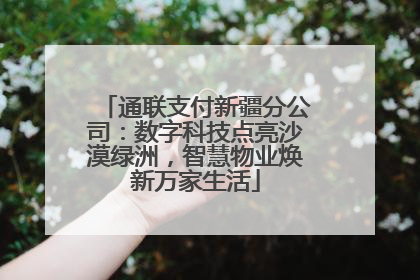 通联支付新疆分公司：数字科技点亮沙漠绿洲，智慧物业焕新万家生活
