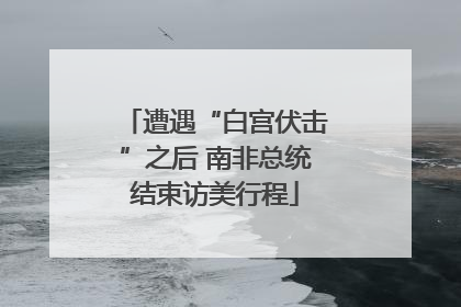 遭遇“白宫伏击”之后 南非总统结束访美行程