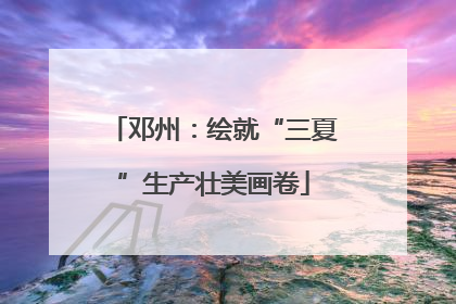 邓州：绘就“三夏”生产壮美画卷