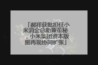 郝祥获批担任小米消金总助兼董秘，小米集团资本版图再现协同扩张