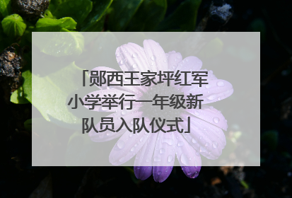 郧西王家坪红军小学举行一年级新队员入队仪式