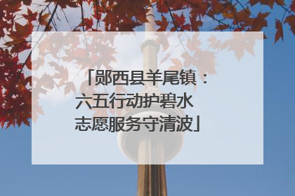 郧西县羊尾镇：六五行动护碧水 志愿服务守清波
