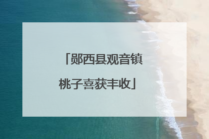 郧西县观音镇桃子喜获丰收