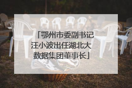 鄂州市委副书记汪小波出任湖北大数据集团董事长