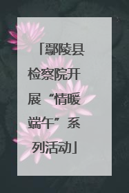鄢陵县检察院开展“情暖端午”系列活动