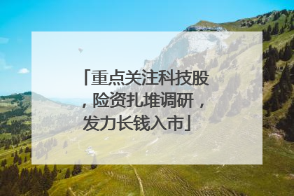 重点关注科技股，险资扎堆调研，发力长钱入市