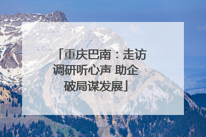 重庆巴南：走访调研听心声 助企破局谋发展