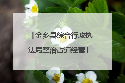 金乡县综合行政执法局整治占道经营