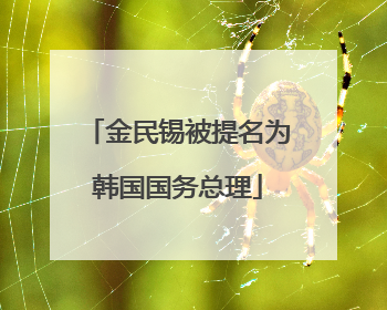 金民锡被提名为韩国国务总理