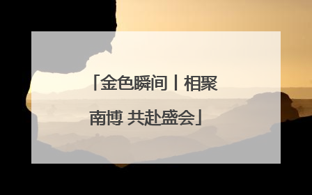 金色瞬间丨相聚南博 共赴盛会
