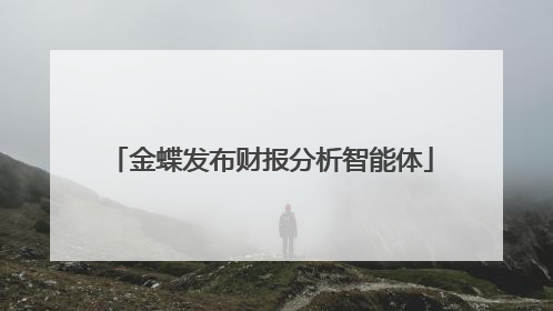 金蝶发布财报分析智能体