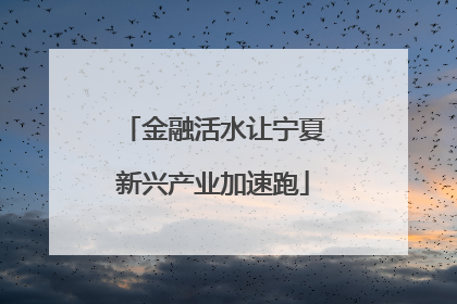 金融活水让宁夏新兴产业加速跑
