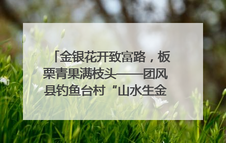 金银花开致富路，板栗青果满枝头——团风县钓鱼台村“山水生金”谱写共富新篇章
