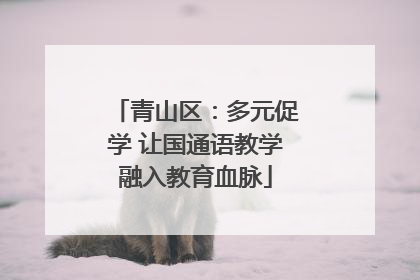 青山区：多元促学 让国通语教学融入教育血脉
