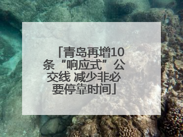 青岛再增10条“响应式”公交线 减少非必要停靠时间