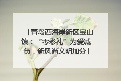 青岛西海岸新区宝山镇：“零彩礼”为爱减负，新风尚文明加分