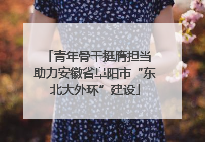 青年骨干挺膺担当 助力安徽省阜阳市“东北大外环”建设