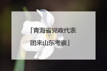 青海省党政代表团来山东考察