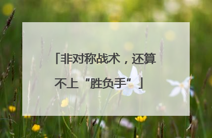 非对称战术，还算不上“胜负手”