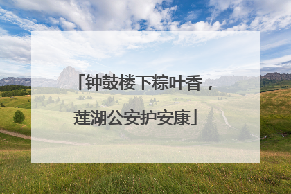 钟鼓楼下粽叶香，莲湖公安护安康