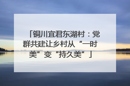 铜川宜君东湖村：党群共建让乡村从“一时美”变“持久美”