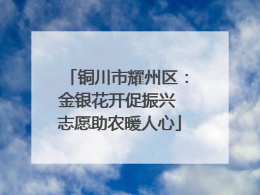 铜川市耀州区：金银花开促振兴 志愿助农暖人心