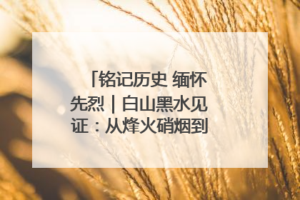 铭记历史 缅怀先烈｜白山黑水见证：从烽火硝烟到振兴热土的巨变
