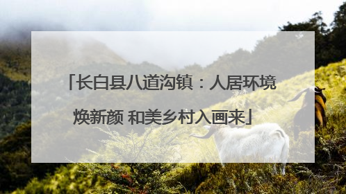 长白县八道沟镇：人居环境焕新颜 和美乡村入画来