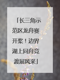 长三角示范区龙舟赛开桨！边界湖上同舟竞渡展风采