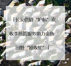 长安供销“护航”麦收季托管服务助力金色田野“抢收忙”