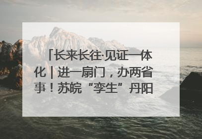 长来长往·见证一体化｜进一扇门，办两省事！苏皖“孪生”丹阳如何做到的？