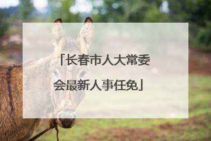 长春市人大常委会最新人事任免
