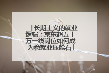 长期主义的就业逻辑：京东超五十万一线岗位如何成为稳就业压舱石