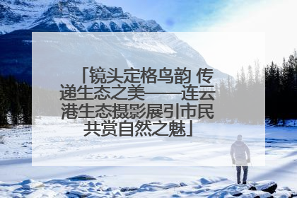 镜头定格鸟韵 传递生态之美——连云港生态摄影展引市民共赏自然之魅