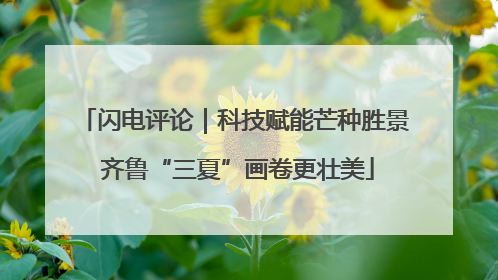 闪电评论｜科技赋能芒种胜景 齐鲁“三夏”画卷更壮美