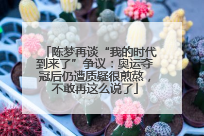 陈梦再谈“我的时代到来了”争议：奥运夺冠后仍遭质疑很煎熬，不敢再这么说了