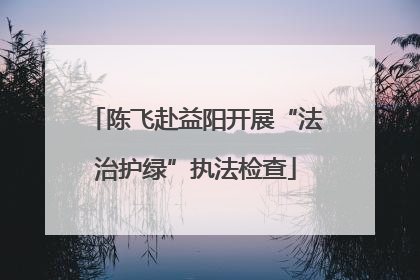 陈飞赴益阳开展“法治护绿”执法检查