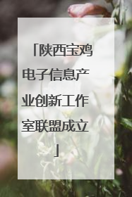 陕西宝鸡电子信息产业创新工作室联盟成立