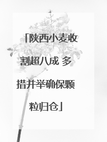 陕西小麦收割超八成 多措并举确保颗粒归仓