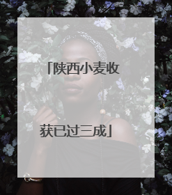 陕西小麦收获已过三成