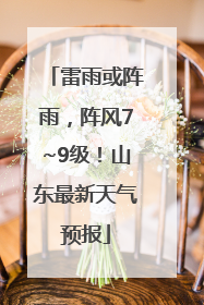 雷雨或阵雨，阵风7~9级！山东最新天气预报