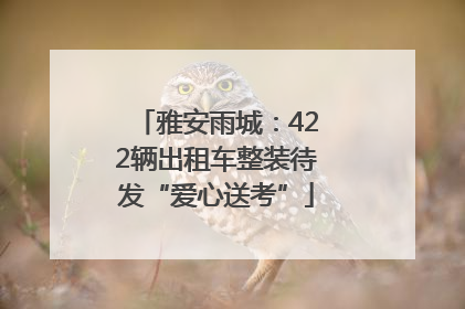 雅安雨城：422辆出租车整装待发“爱心送考”