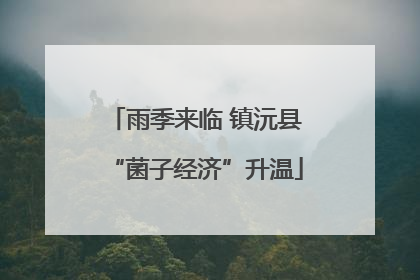 雨季来临 镇沅县“菌子经济”升温